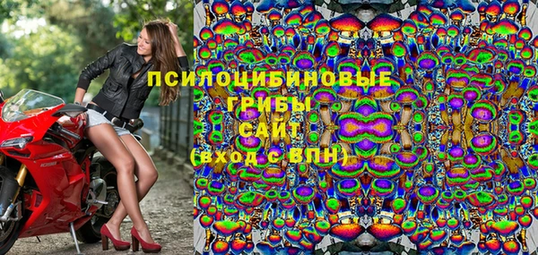 эйфоретик Алексин