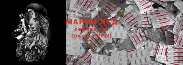 ПСИЛОЦИБИНОВЫЕ ГРИБЫ Алексеевка