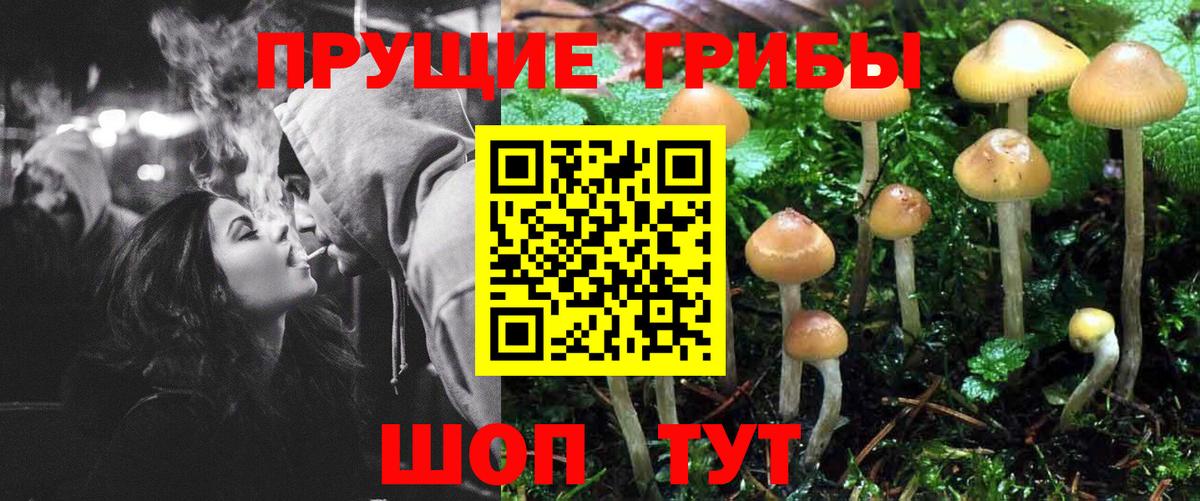 Галлюциногенные грибы прущие грибы Алушта