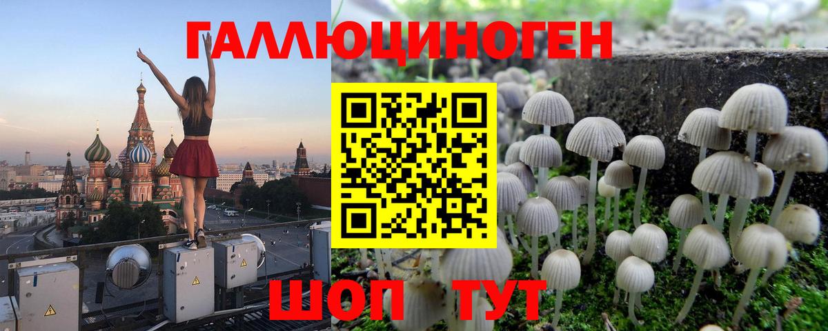 Купить наркотик  Алушта  ГАШИШ  Марихуана  Вход с VPN  МДМА  Меф   Мефедрон 